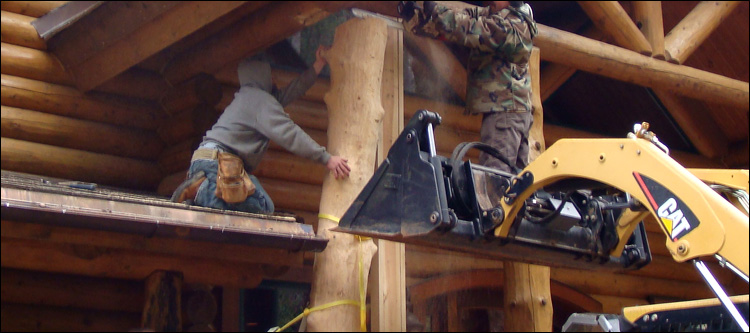 Log Home Log Replacement  Stanly County,  North Carolina